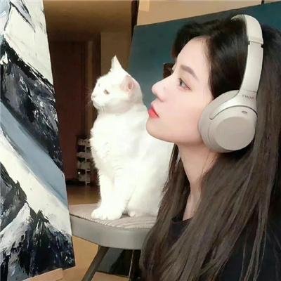 混沌行走